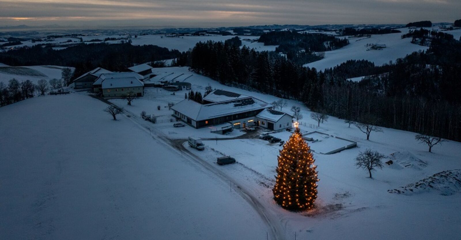 Der beleuchtete MPW-Christbaum in der winterlichen Landschaft von Eidenberg